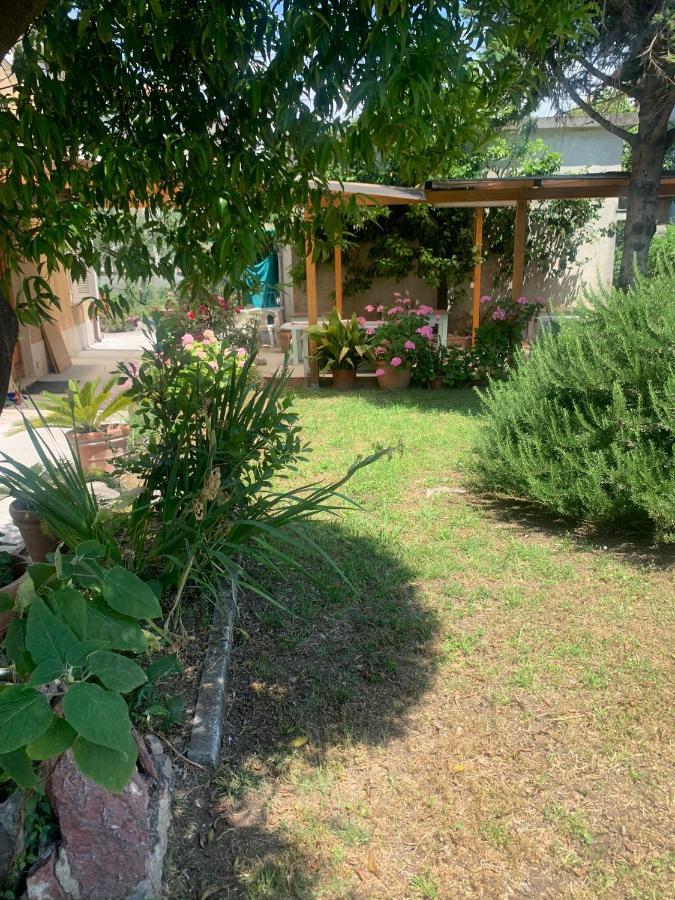 Casa Violetta Bed & Breakfast มารีนา ดิ มาซซา ภายนอก รูปภาพ