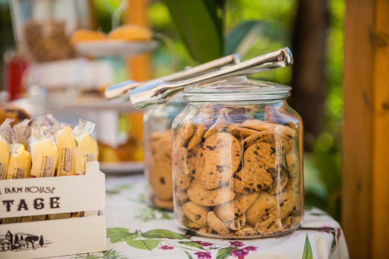 Casa Violetta Bed & Breakfast มารีนา ดิ มาซซา ภายนอก รูปภาพ